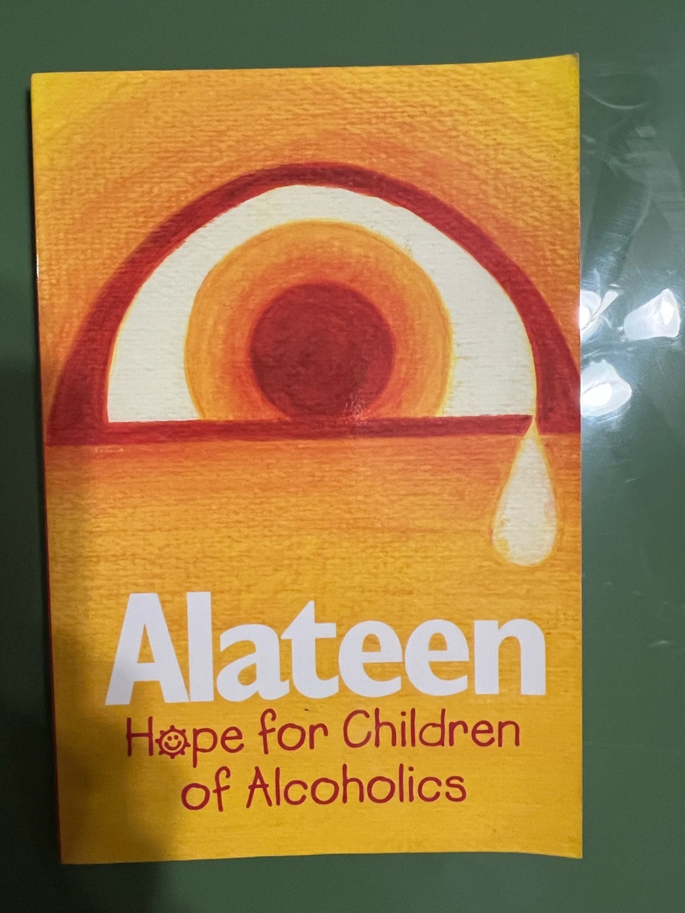 Alateen hope for children of alcoholics book